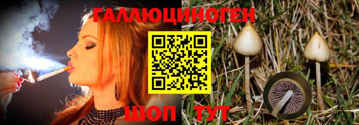 Псилоцибиновые грибы Cubensis  Галлюциногенные грибы GOLDEN TEACHER  Вход с VPN  Солнечногорск 