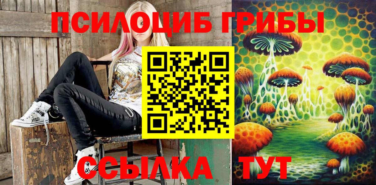 Галлюциногенные грибы GOLDEN TEACHER Солнечногорск