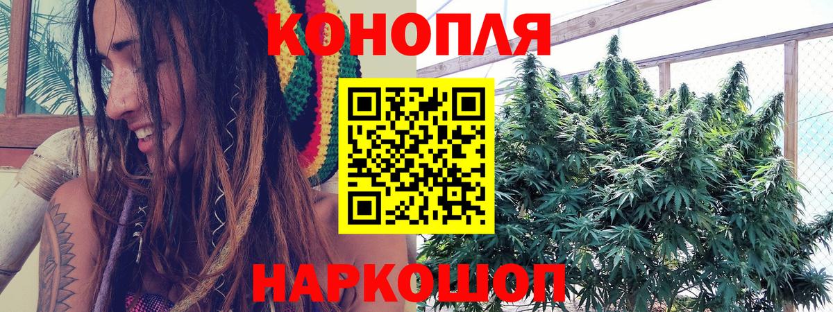 МАРИХУАНА планчик  Бошки марихуана сатива  Солнечногорск  Конопля конопля  Вход с VPN 